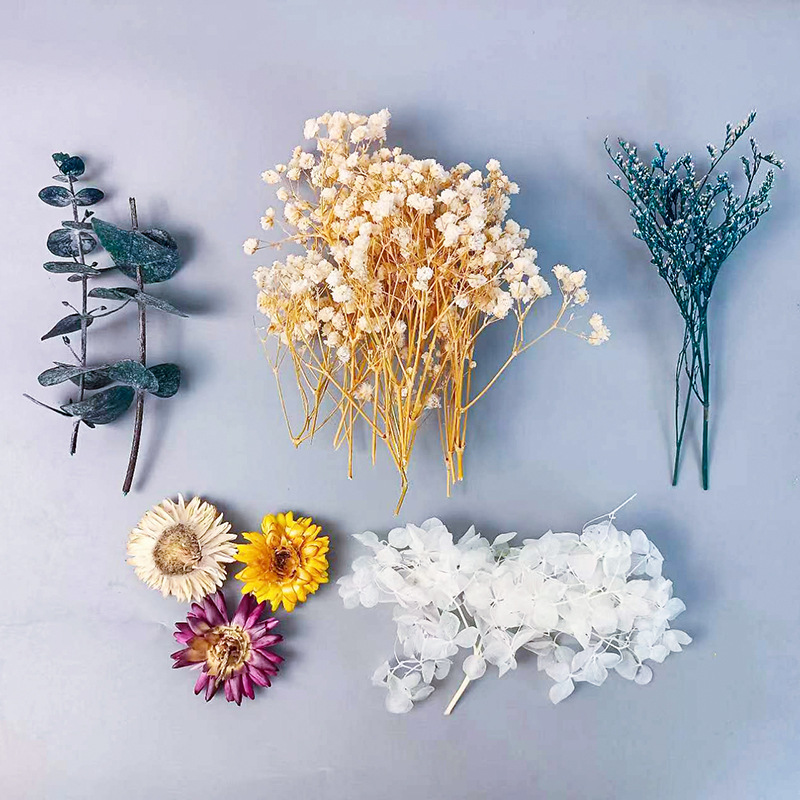 1pack Multifarious Dried Flowe - Craft Embellishment review and price